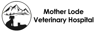 Mother Lode Veterinary Hospital